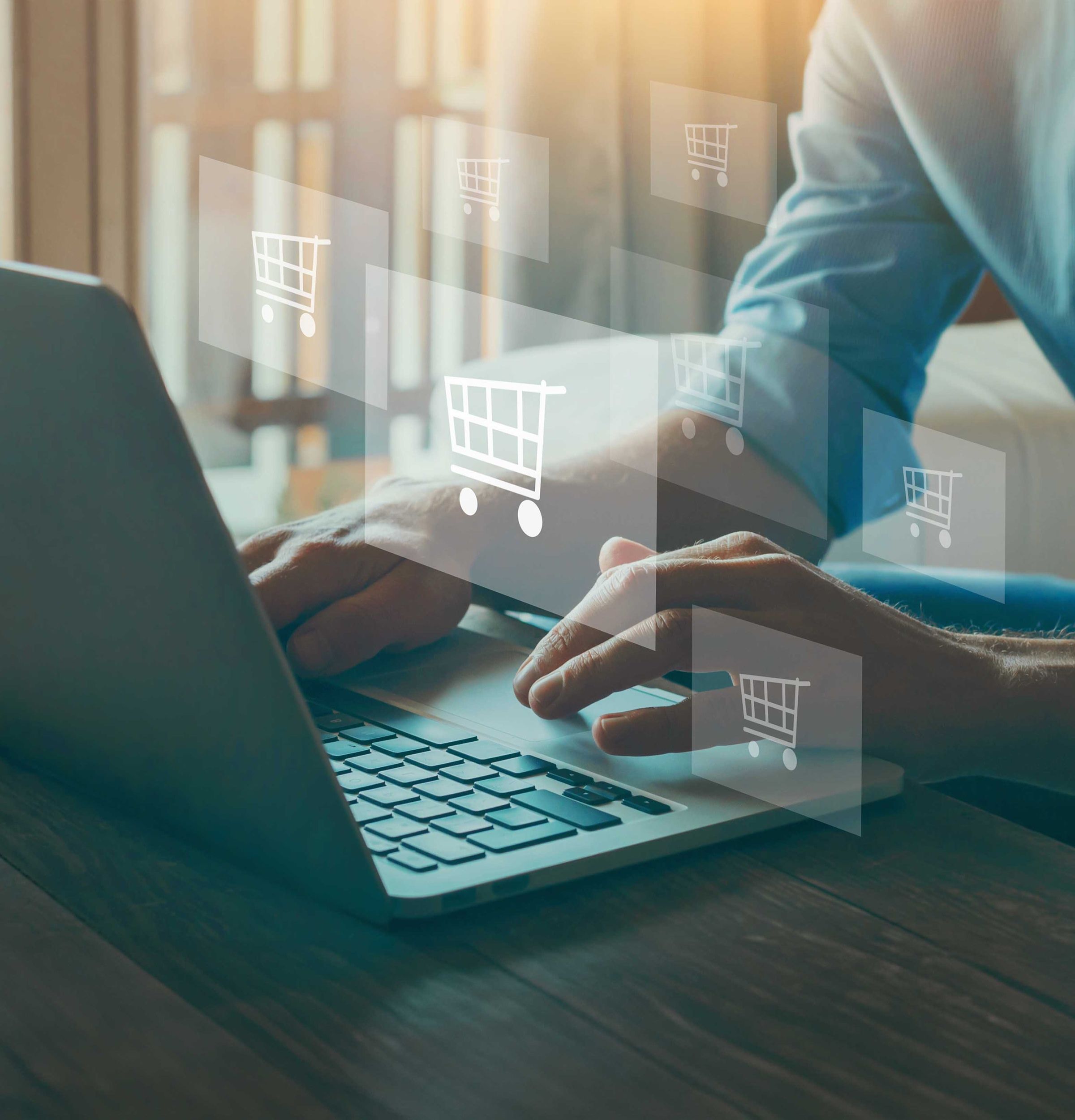 Person shopping online